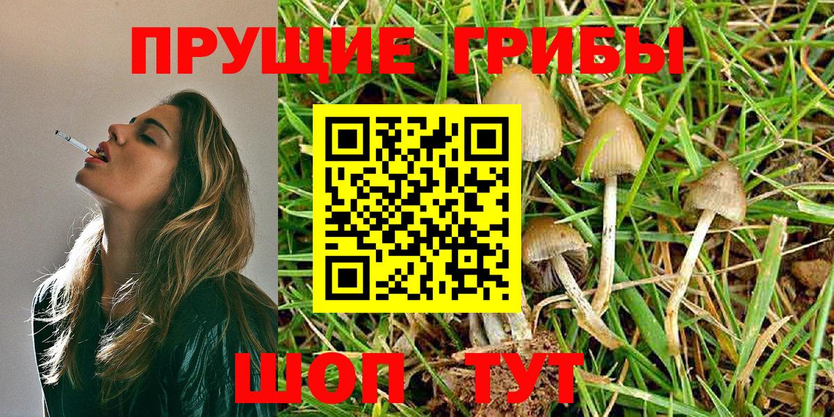 Псилоцибиновые грибы Magic Shrooms Тихвин
