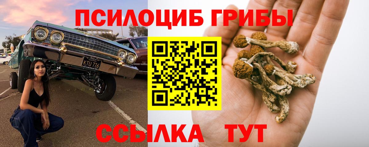 Галлюциногенные грибы мицелий  Галлюциногенные грибы GOLDEN TEACHER  Вход с VPN  Тихвин 